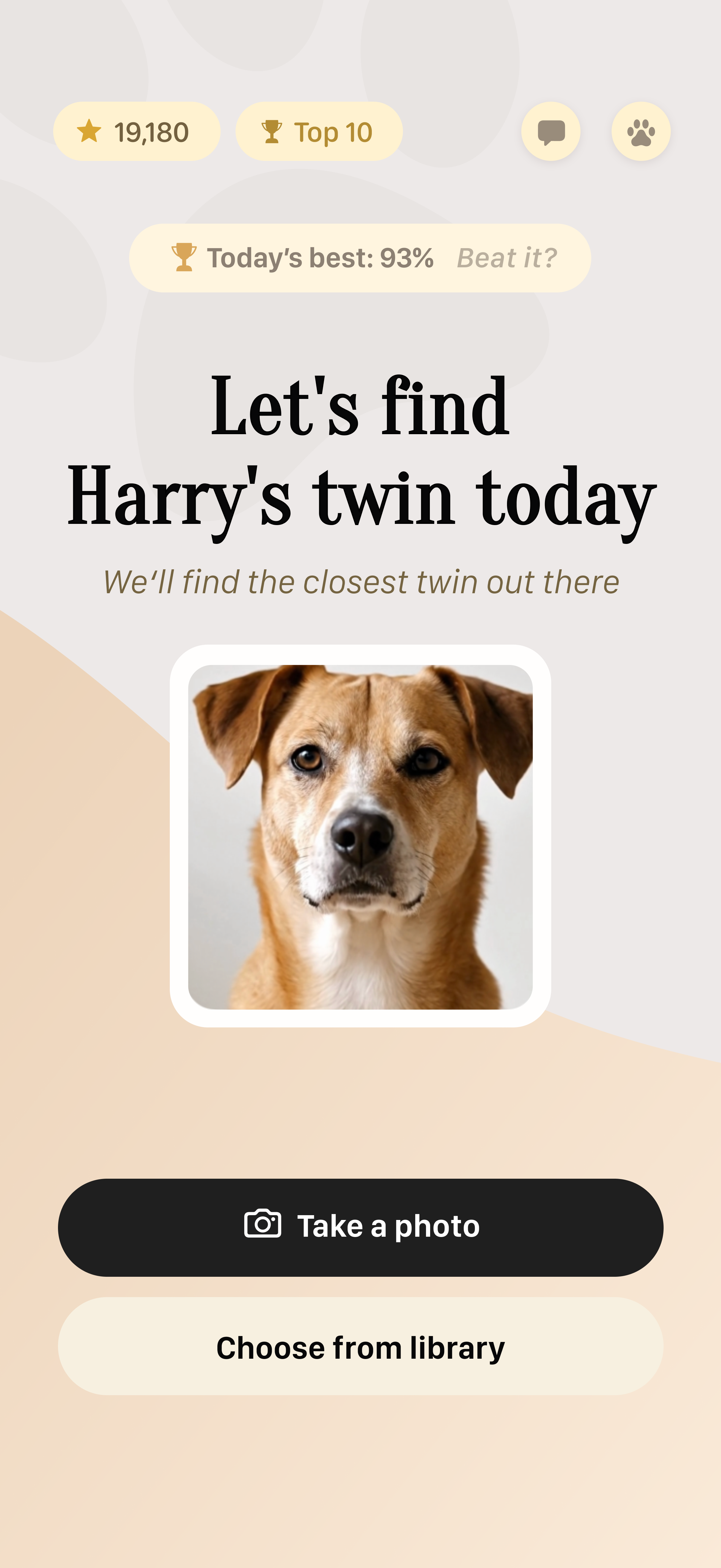 Pet Twin app