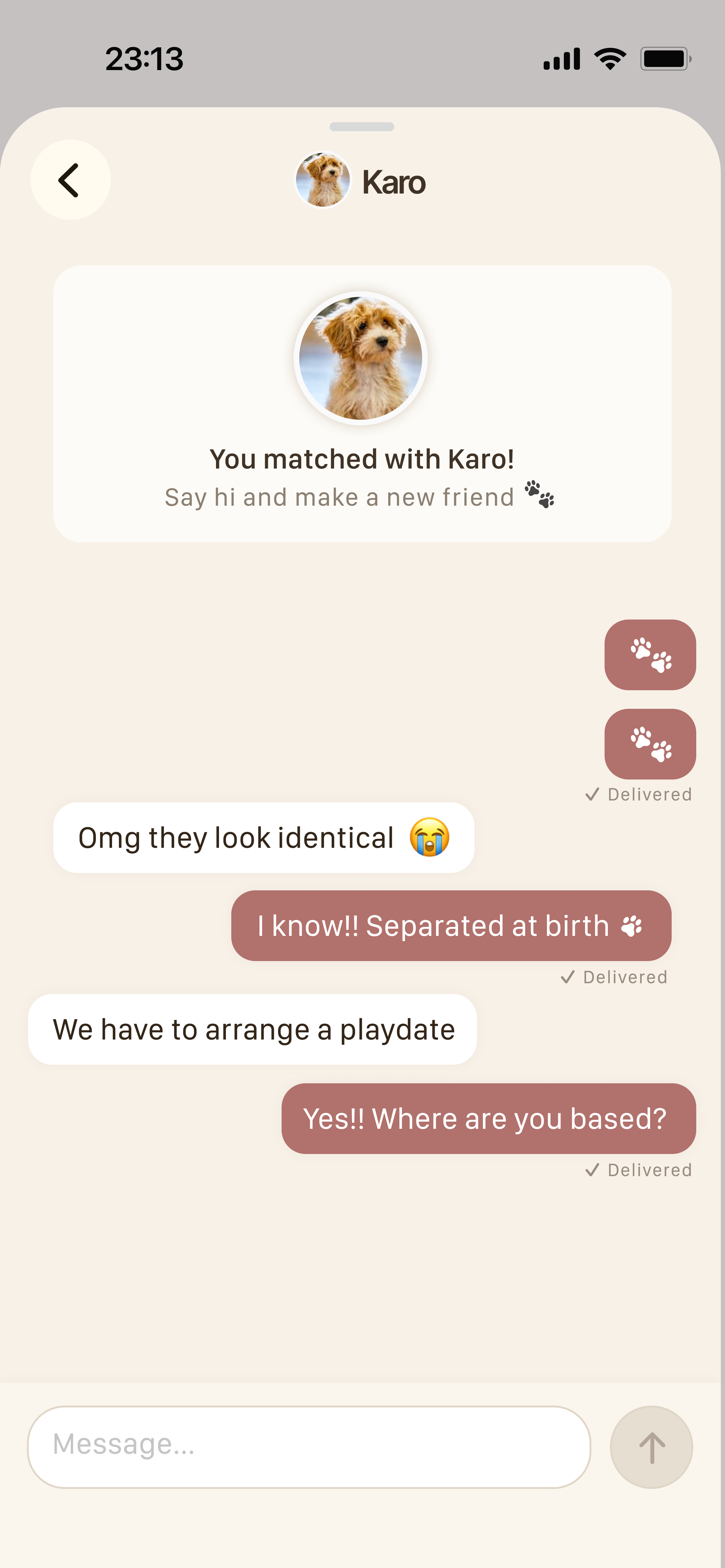 Chat with twin owner